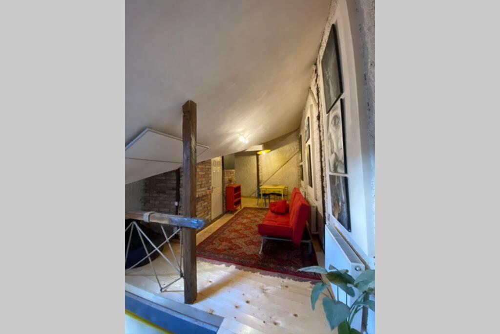 Willa The House A La Cluj Zewnętrze zdjęcie
