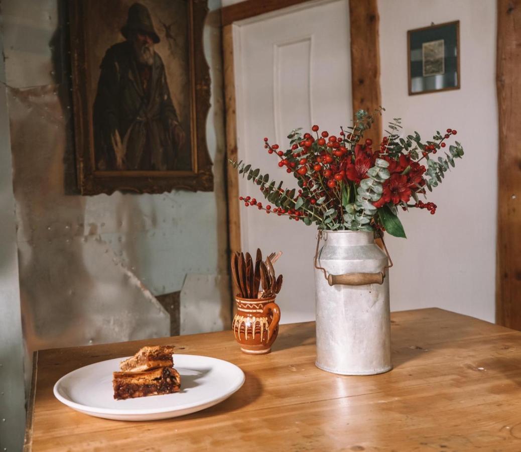 Willa The House A La Cluj Zewnętrze zdjęcie